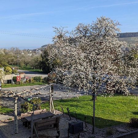 Weingut Harald Ludwig Lägenhet Osann-Monzel Exteriör bild