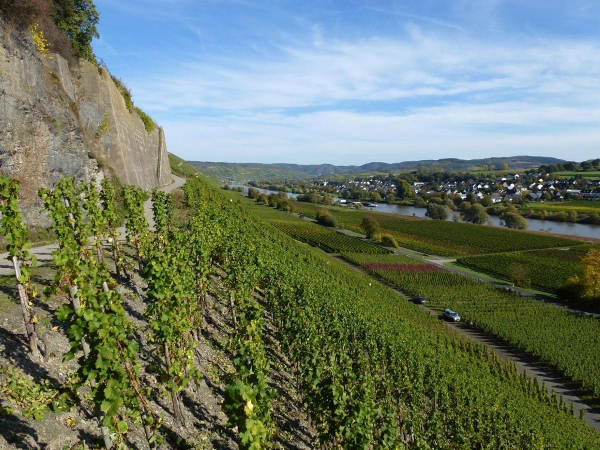 Weingut Harald Ludwig Lägenhet Osann-Monzel Exteriör bild