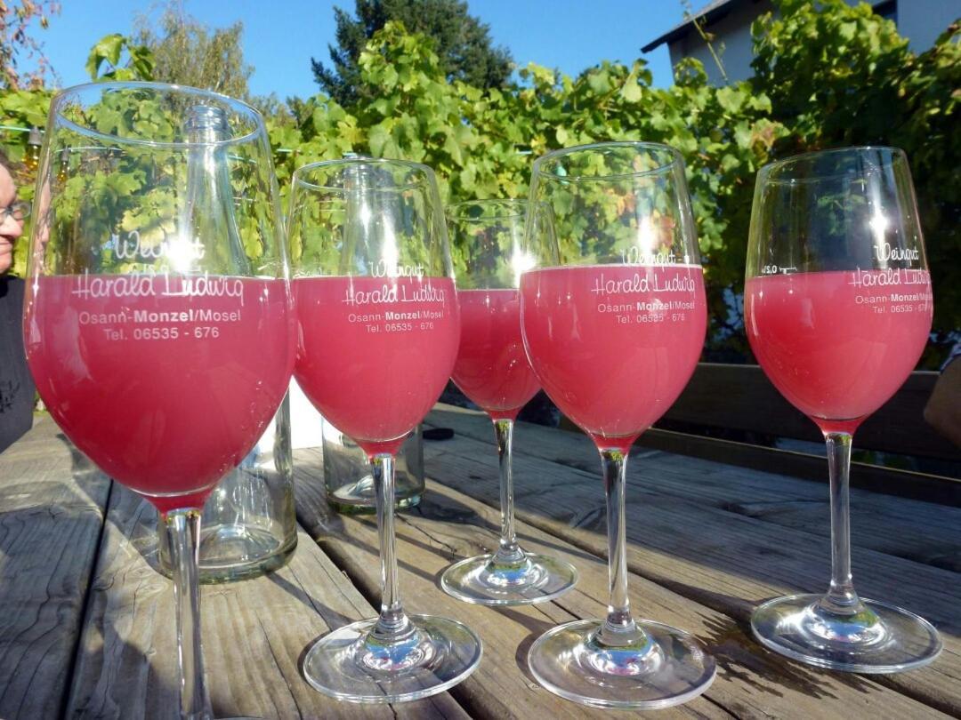 Weingut Harald Ludwig Lägenhet Osann-Monzel Exteriör bild