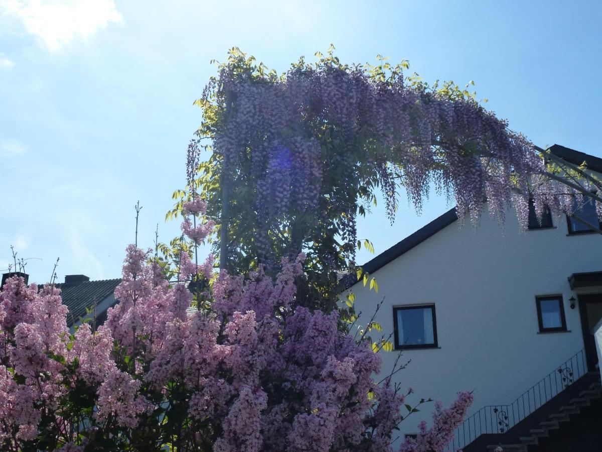 Weingut Harald Ludwig Lägenhet Osann-Monzel Exteriör bild