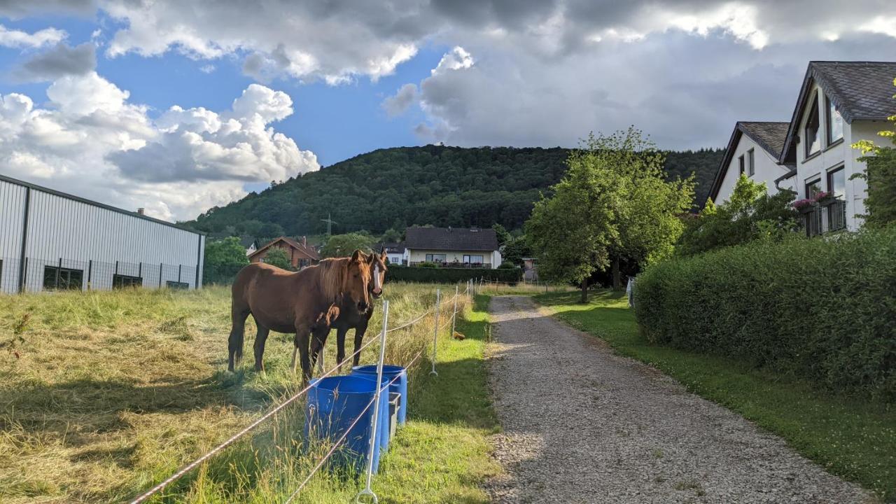Weingut Harald Ludwig Lägenhet Osann-Monzel Exteriör bild